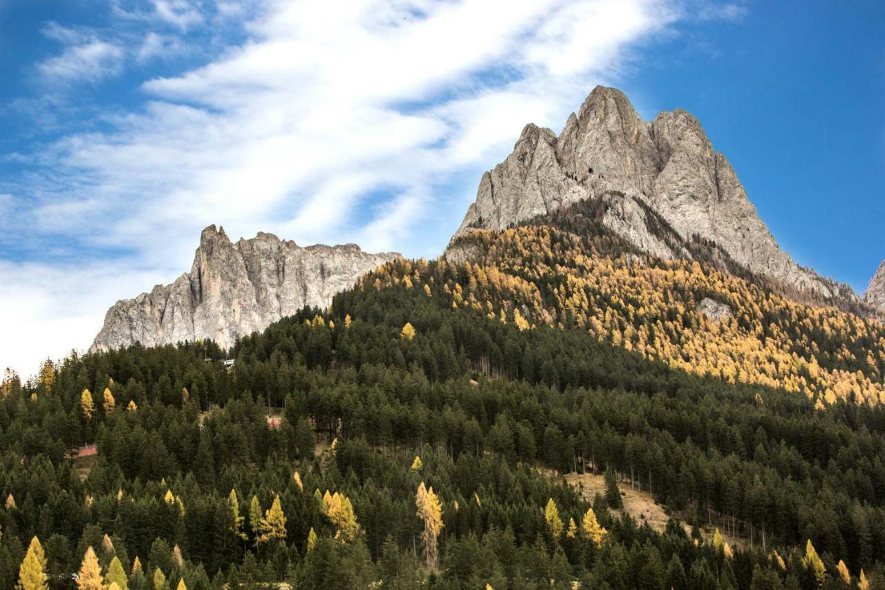 Wellness Fassa Διαμέρισμα Pozza di Fassa Εξωτερικό φωτογραφία